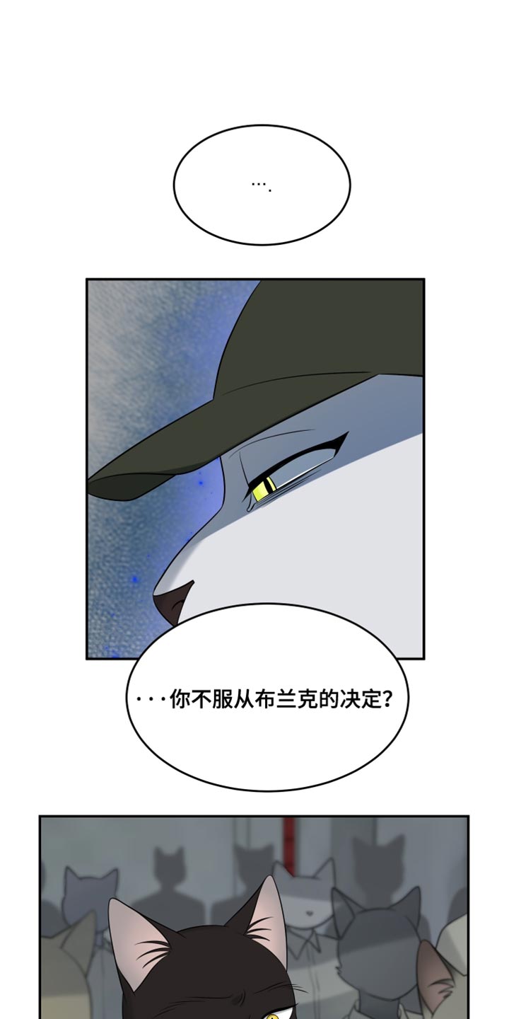 灵猫欧米伽漫画免费双男主漫画,第151话1图