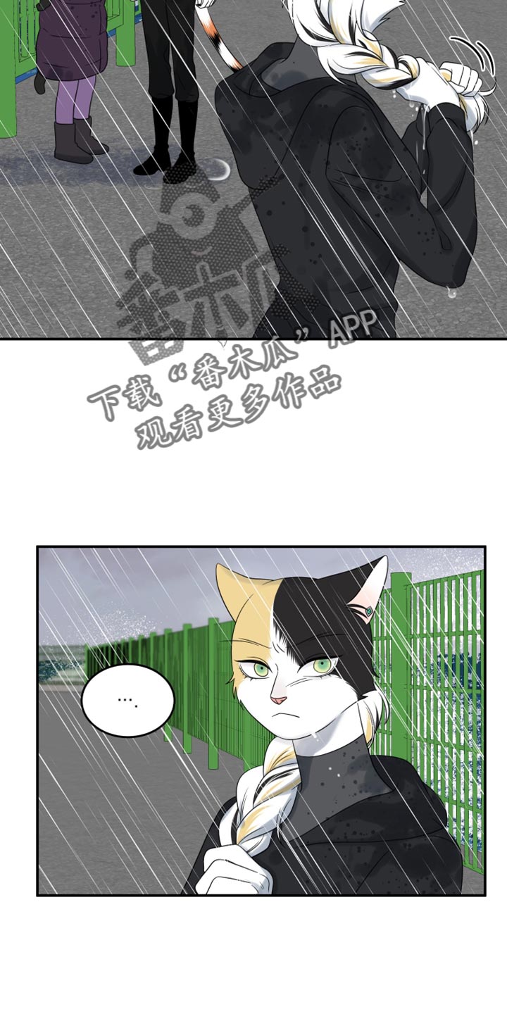 灵猫小说漫画,第113话1图