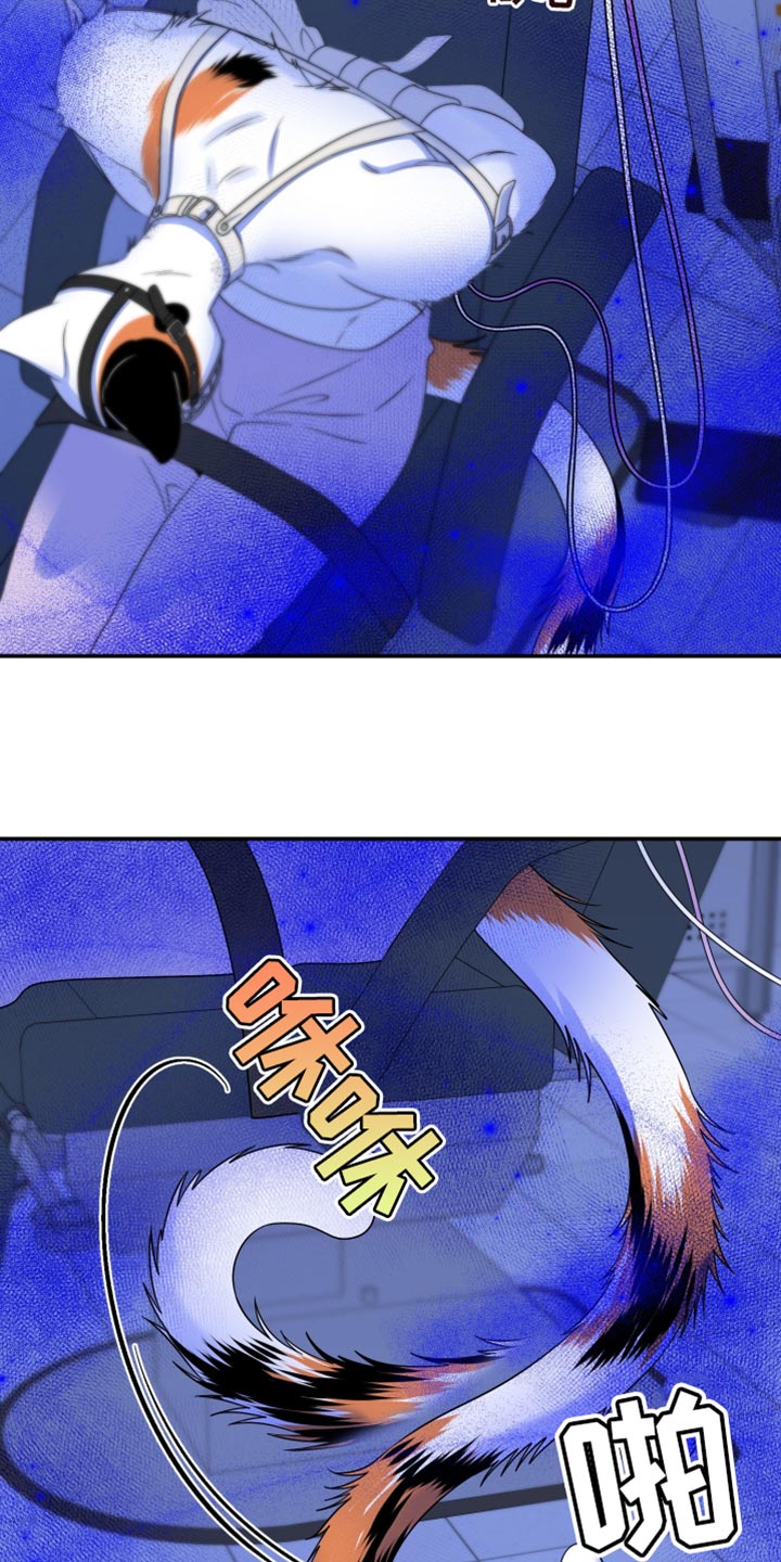 灵猫简介漫画,第161话2图