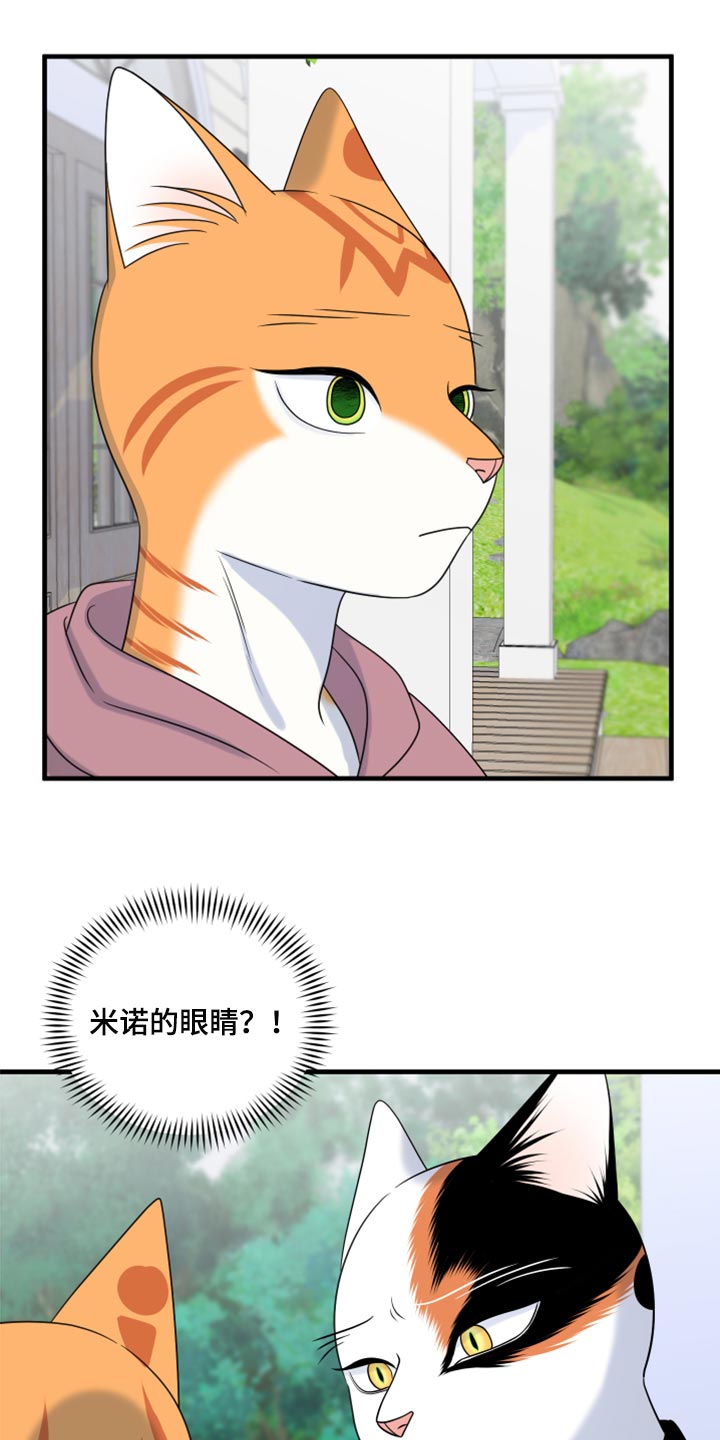 灵猫欧米伽免费阅读漫画,第90话2图