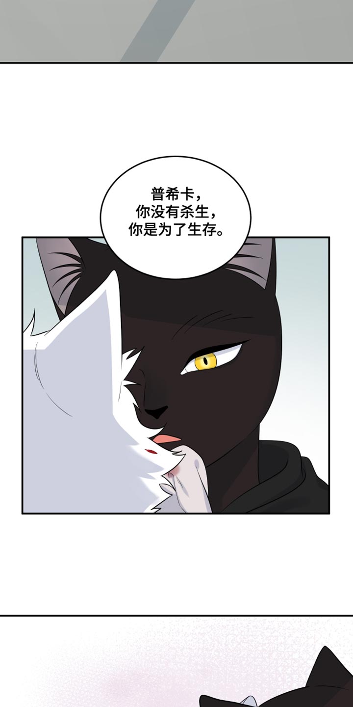 灵猫传陆知也漫画,第141话1图