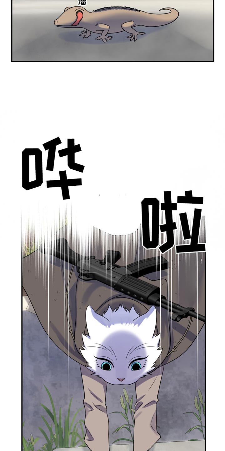 灵猫欧米伽免费版在哪里看漫画,第138话1图