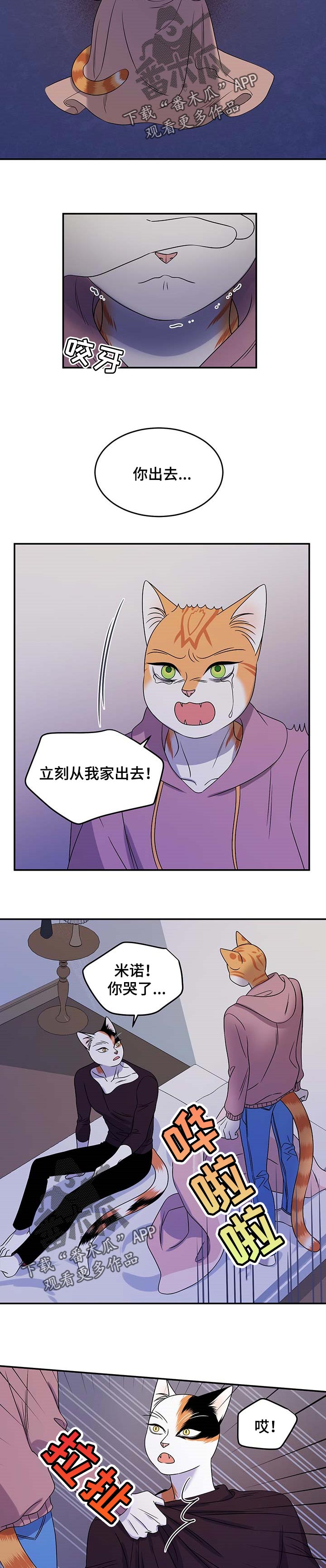 灵猫是什么动物漫画,第32话1图