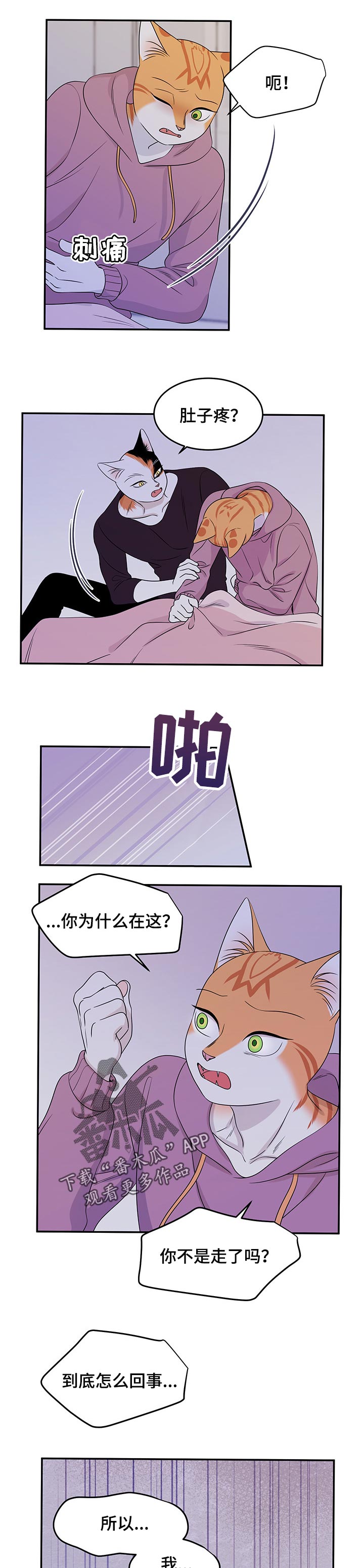 灵猫欧米伽2漫画,第30话2图