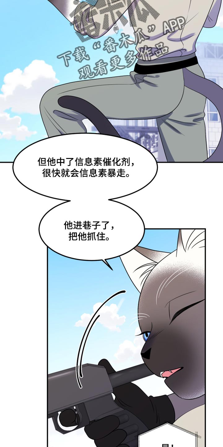 灵猫欧米伽漫画在哪里看漫画,第49话1图