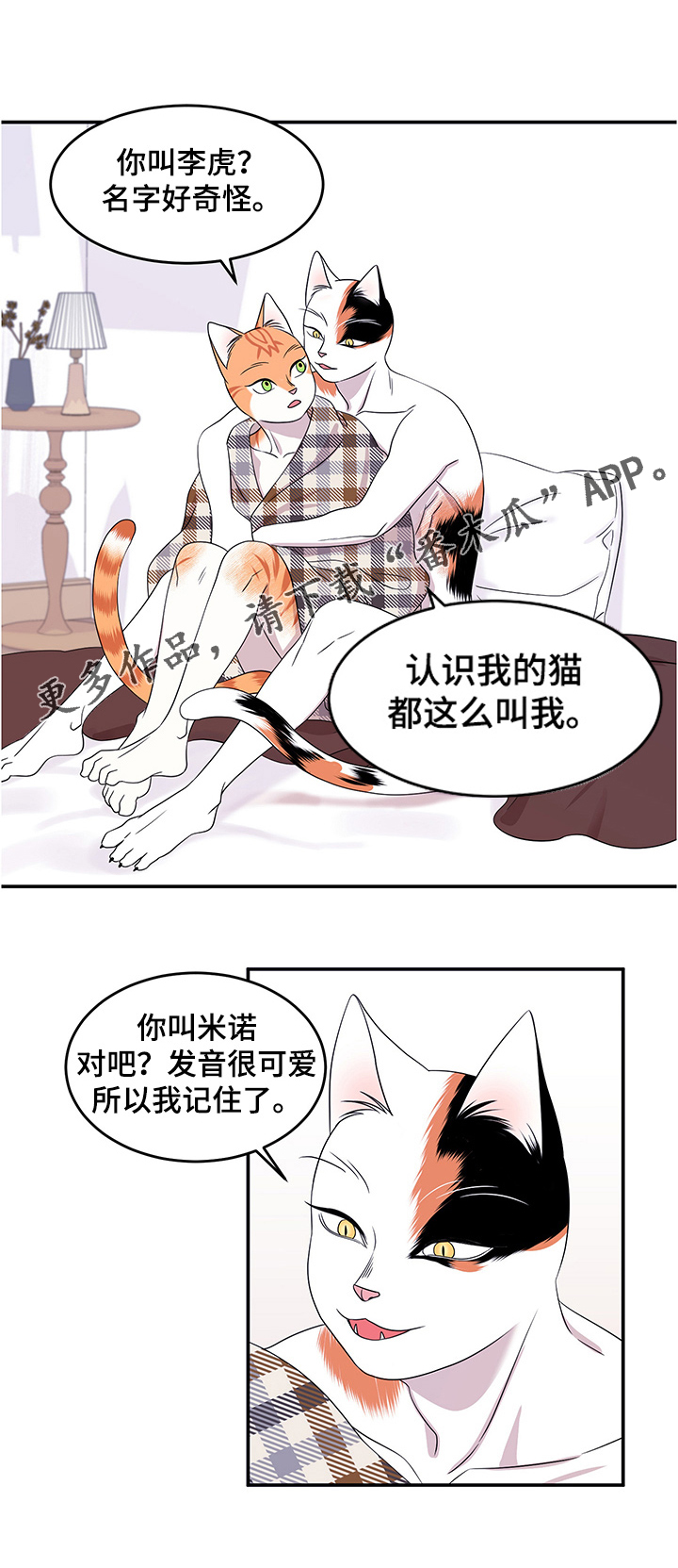 灵猫欧米伽免费阅读漫画,第8话2图