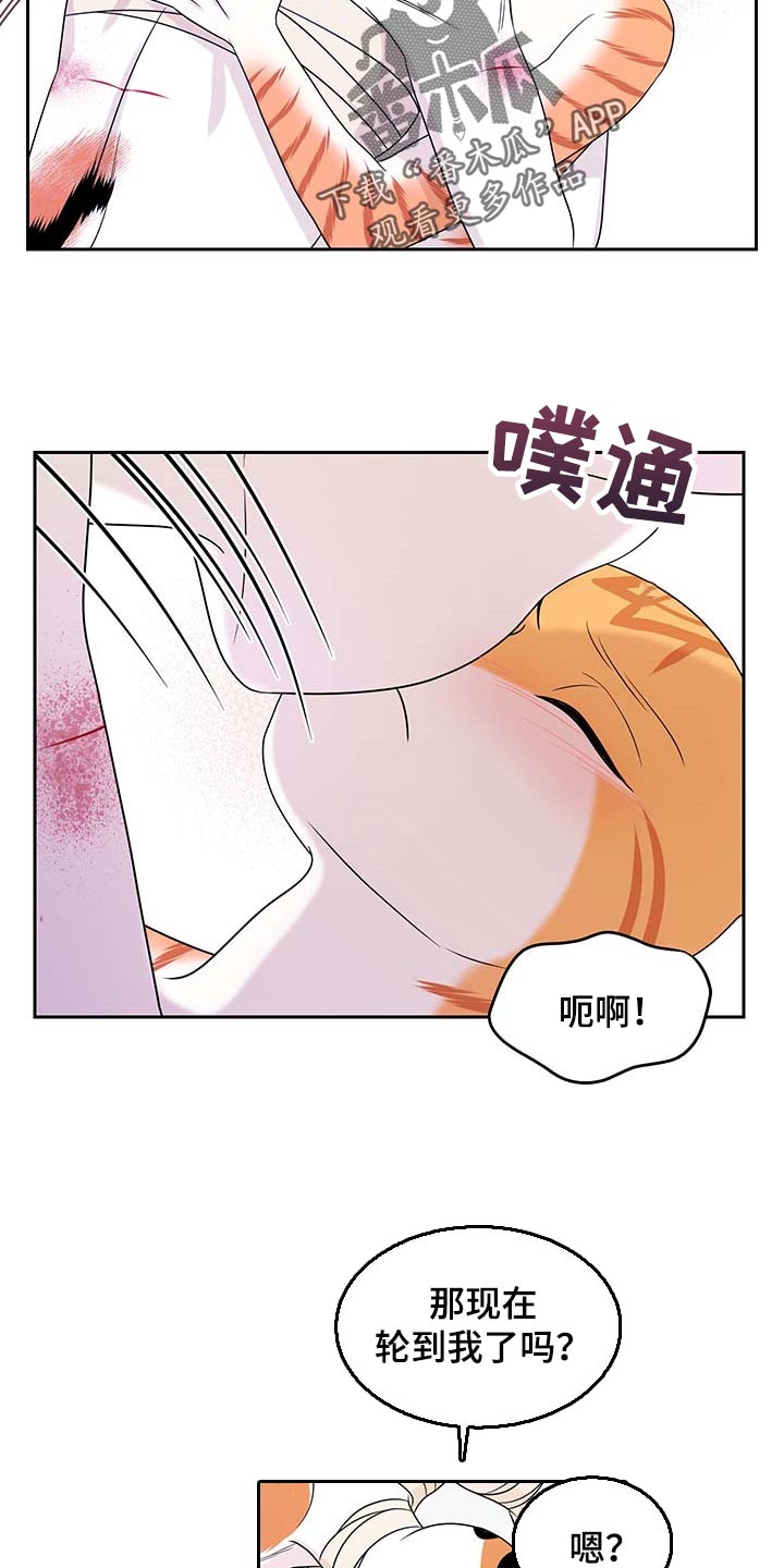 灵猫欧米伽免费阅读漫画,第47话1图