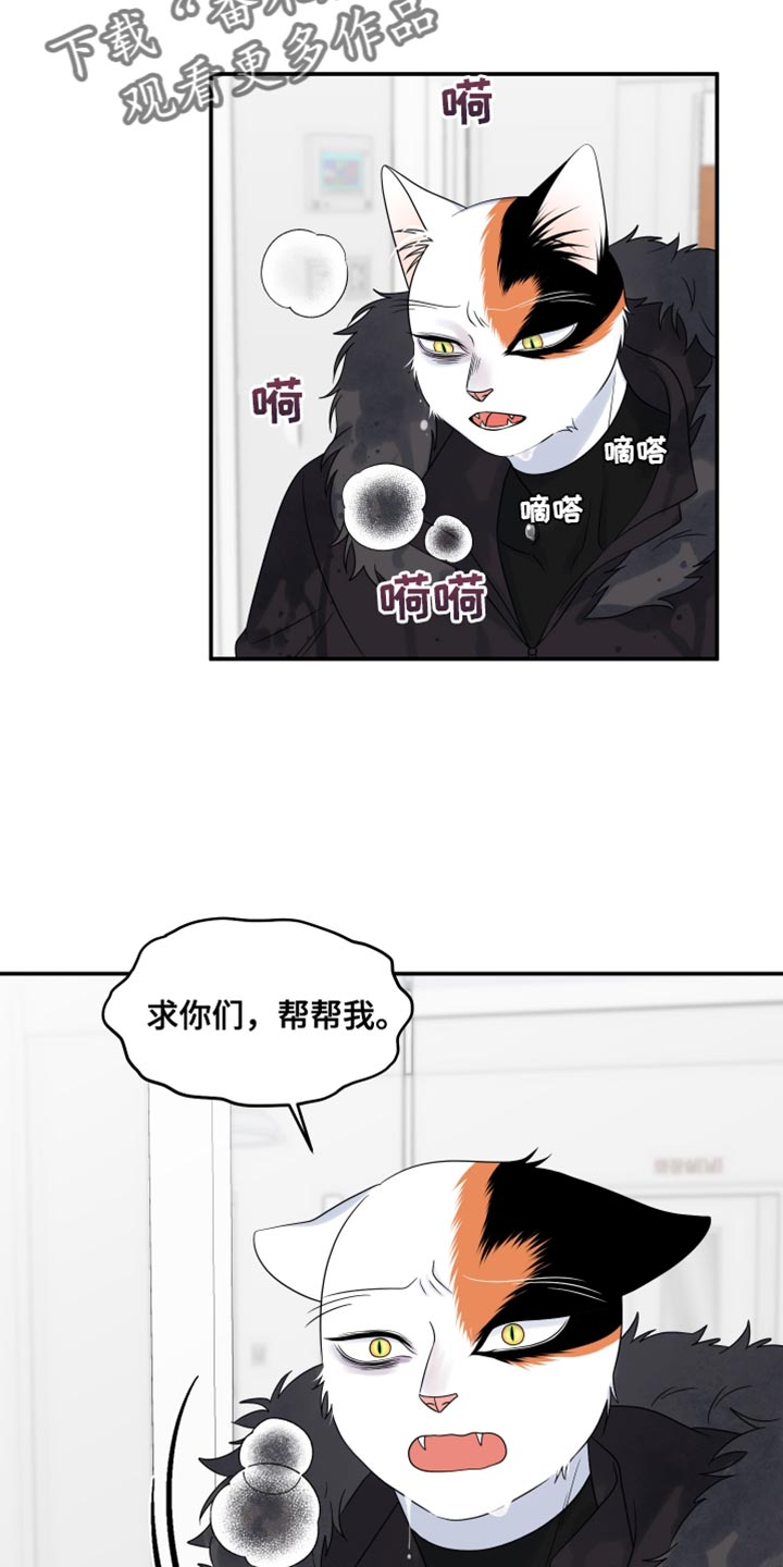 灵猫欧米伽漫画免费看漫画,第111话2图