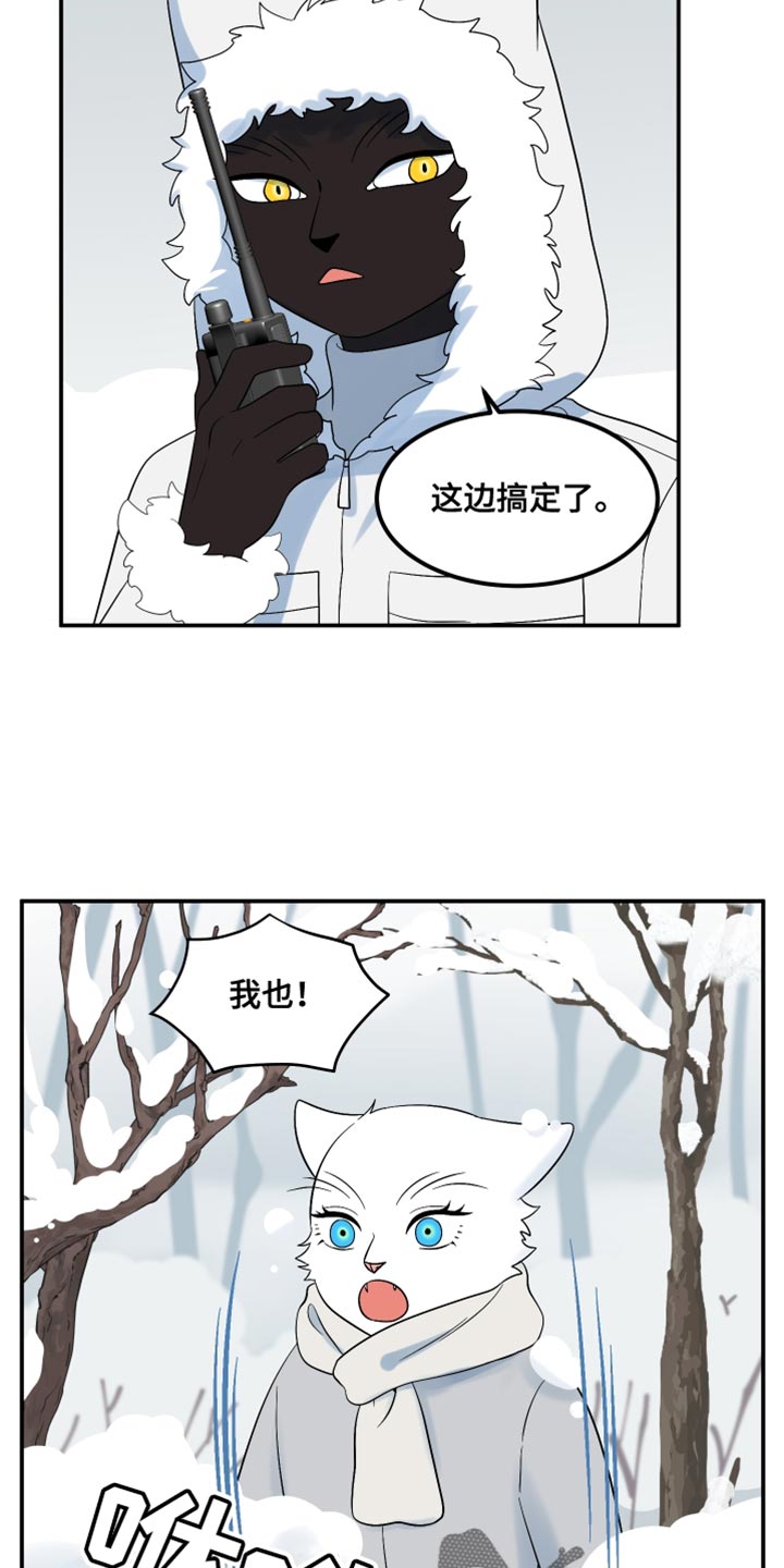 灵猫欧米伽漫画免费观看漫画,第143话2图