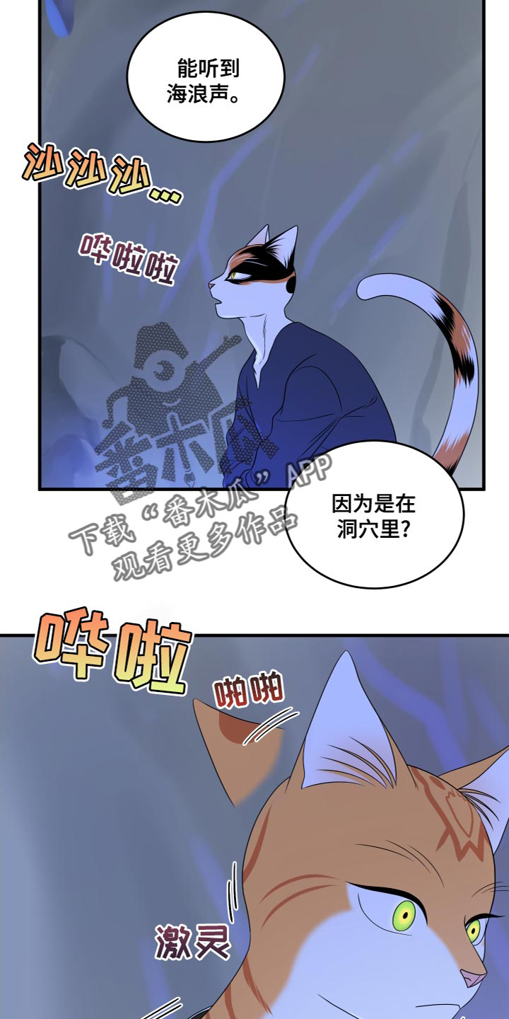 漫画灵猫欧米伽漫画,第95话2图