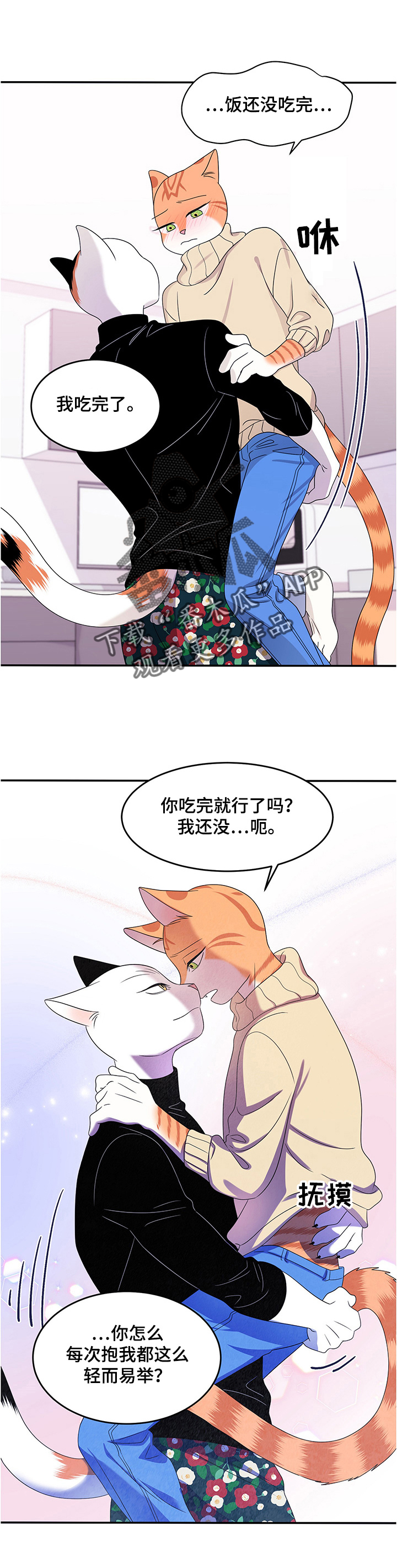 灵猫欧米伽什么时候更新漫画,第11话2图