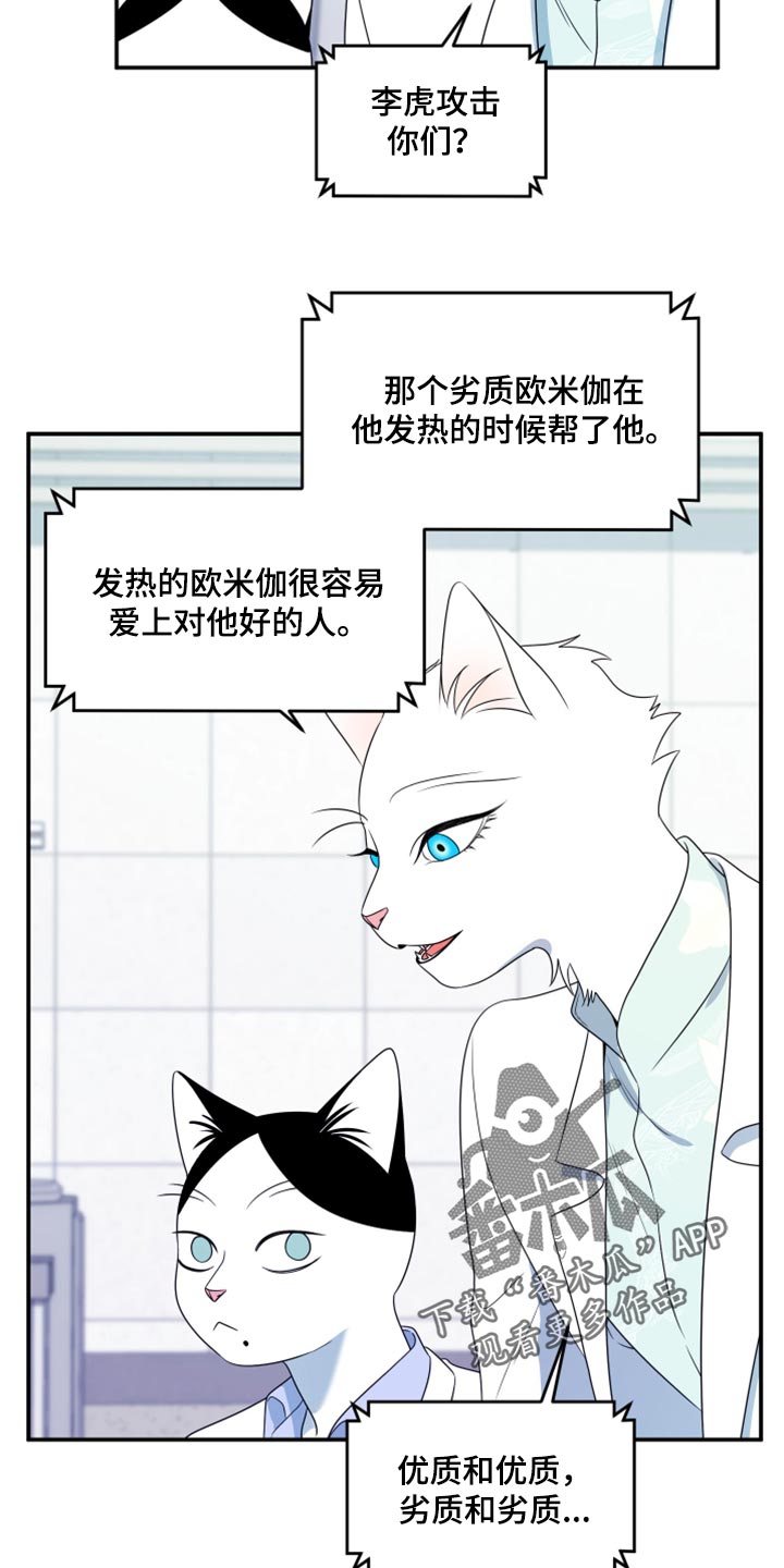 灵猫欧米伽动漫漫画,第57话2图