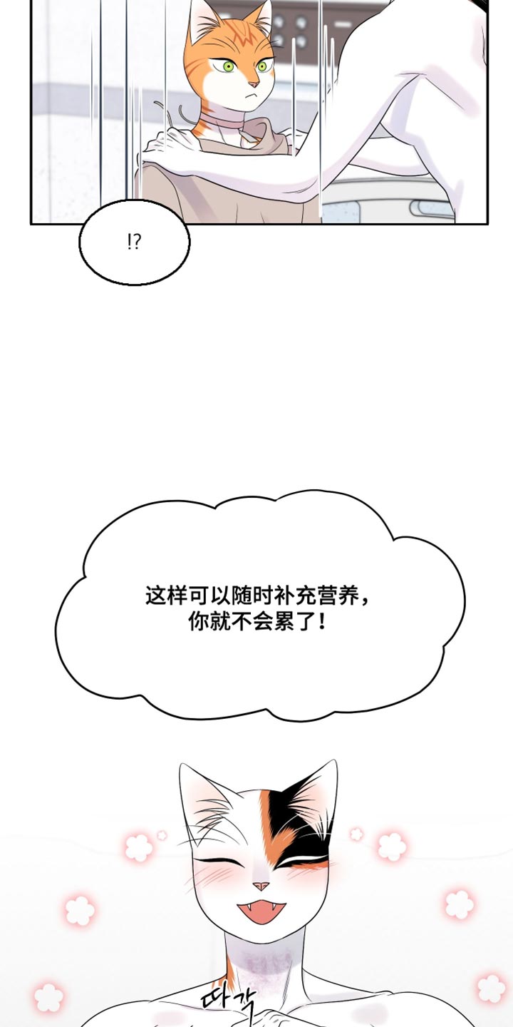 灵猫欧米伽漫画免费观看漫画,第168话1图