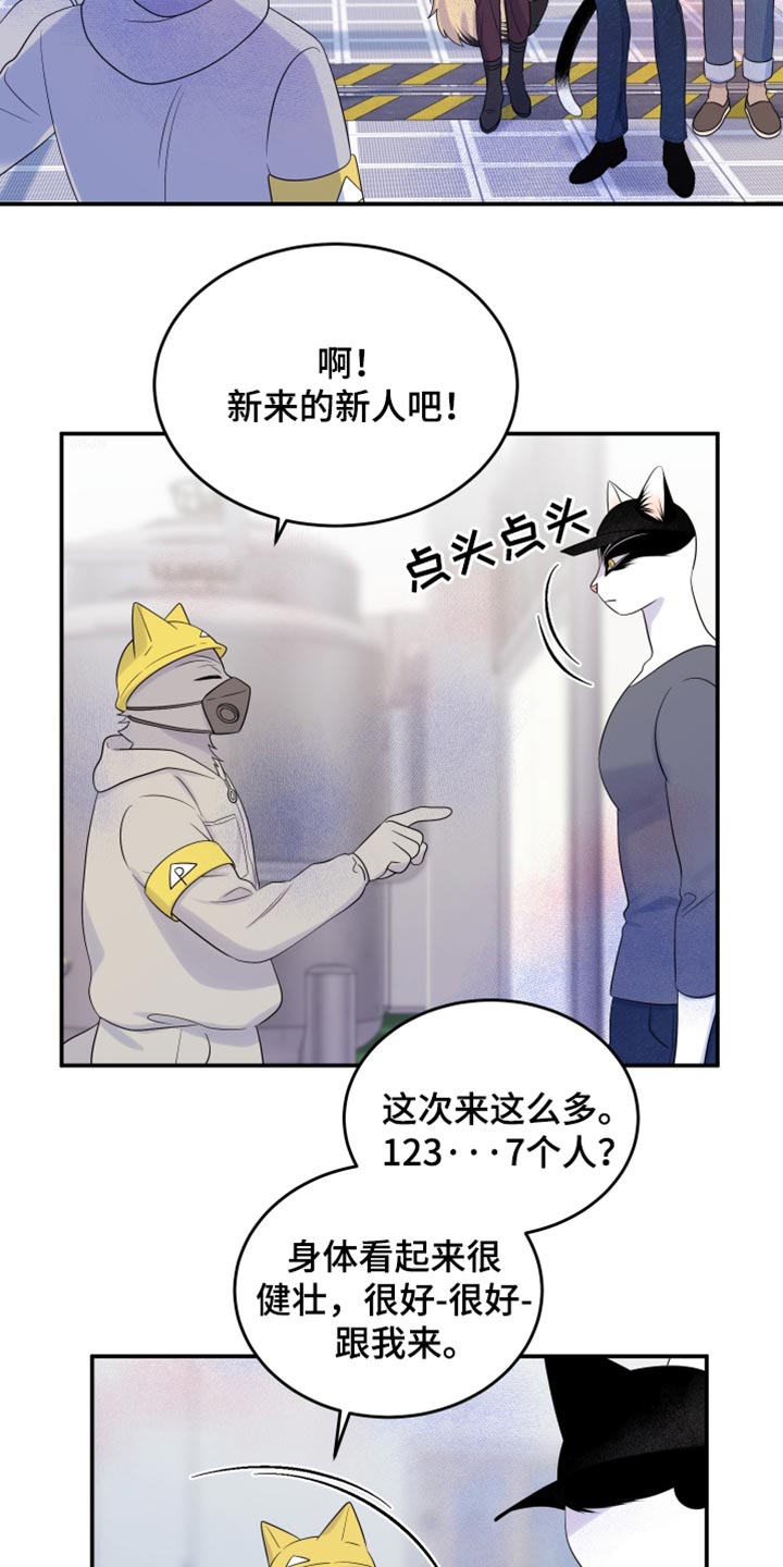 灵猫欧米伽最新话漫画,第123话1图