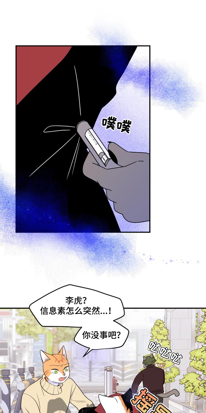 灵猫欧米伽2漫画,第49话1图