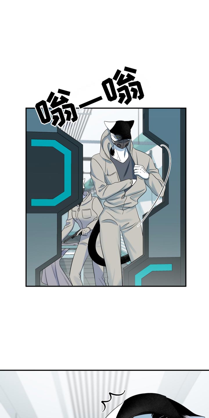 灵猫欧米伽免费漫画,第124话2图