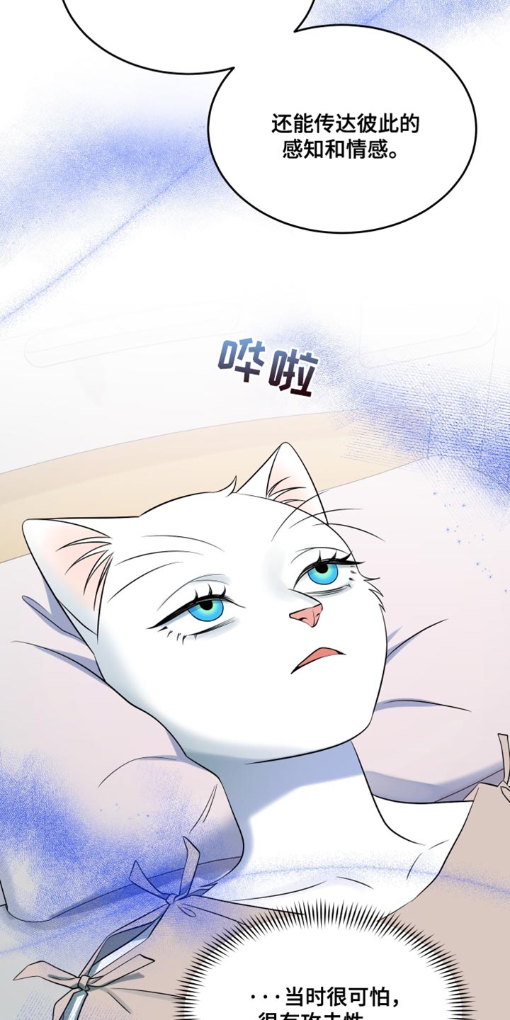 灵猫科和猫科的区别漫画,第150话2图