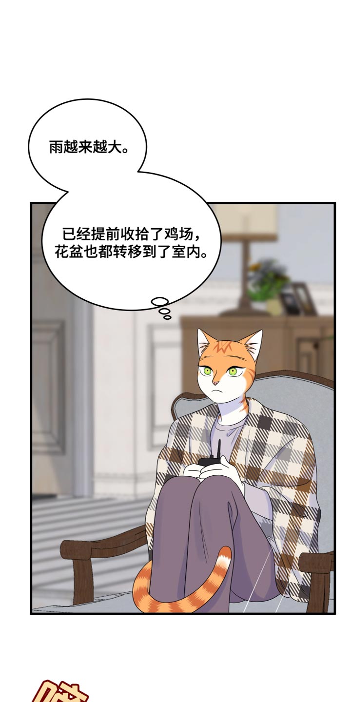 灵猫欧米伽2漫画,第109话2图