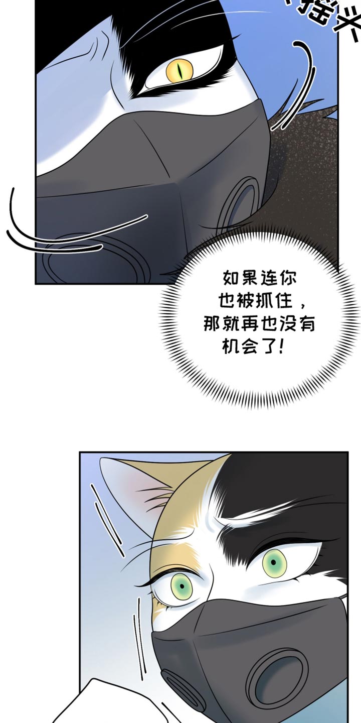 欧米伽3对猫的作用漫画,第130话1图