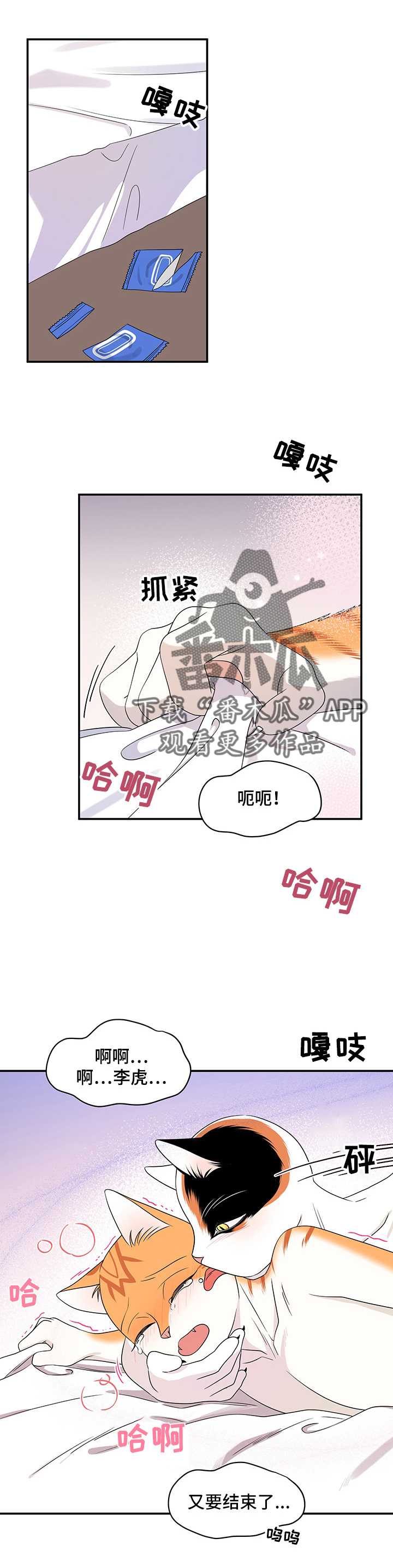 灵猫动画漫画,第14话1图