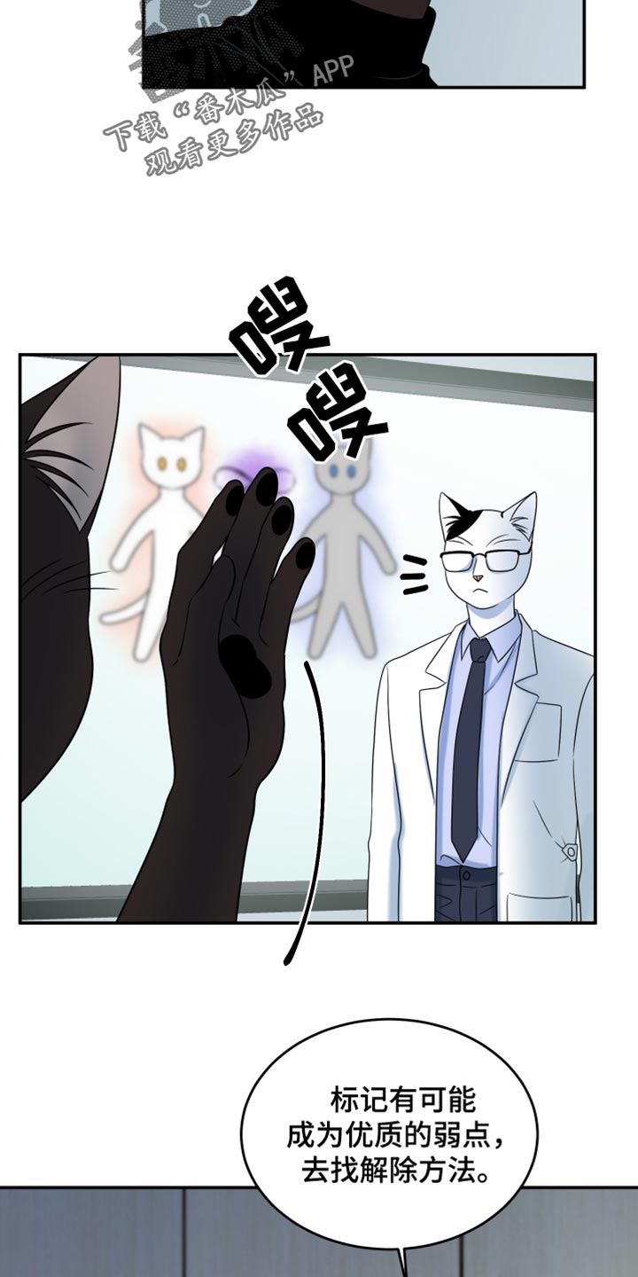 灵猫欧米伽又叫什么漫画,第120话2图