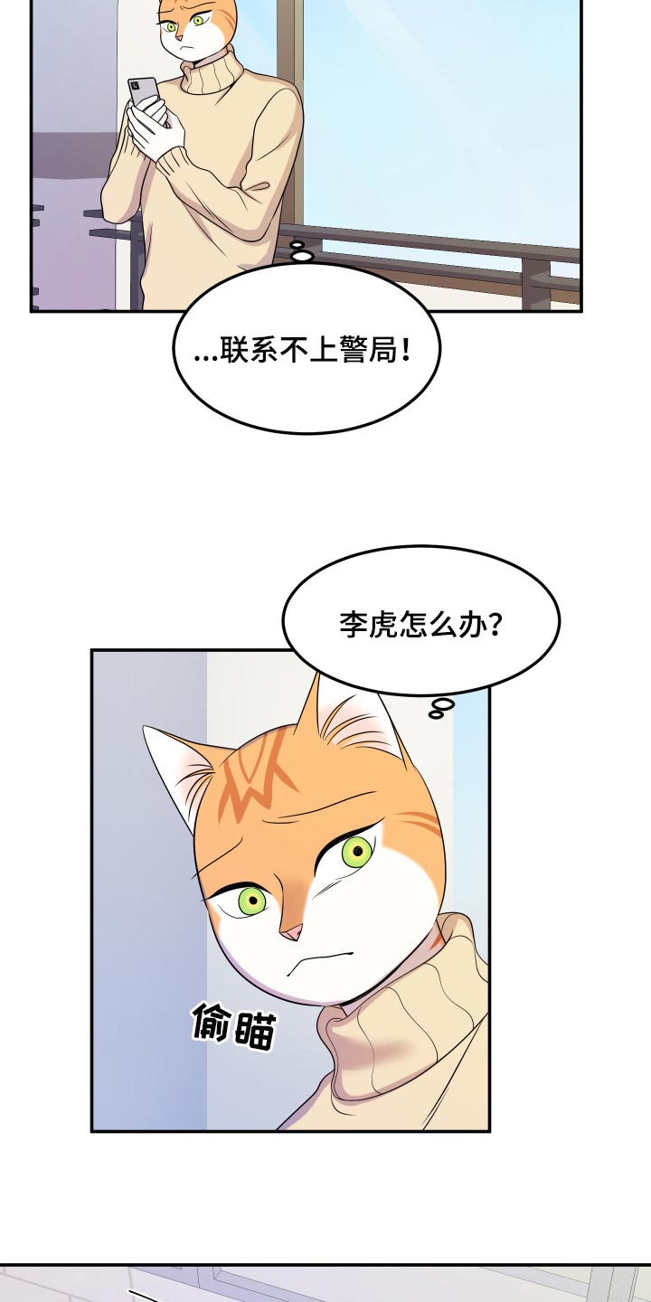 灵猫欧米伽第三季什么时候出漫画,第50话1图