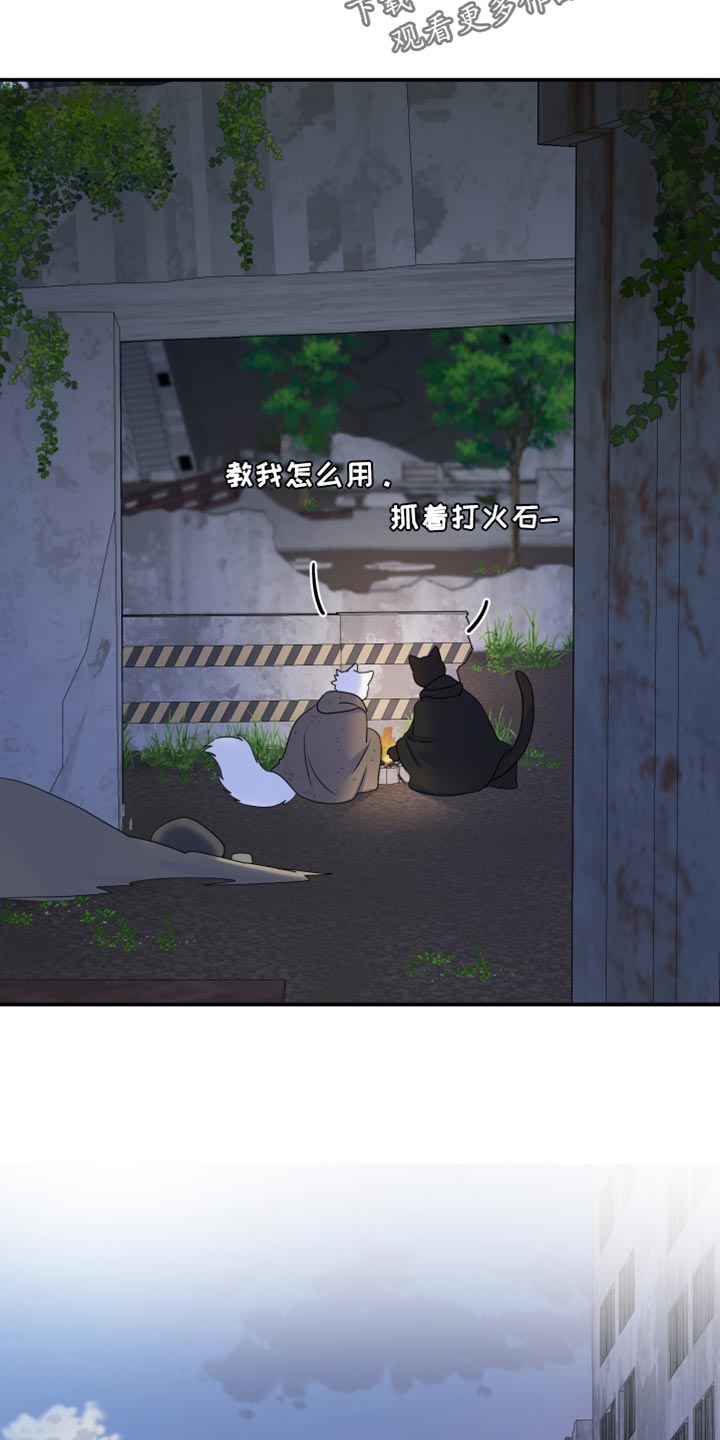 灵猫欧米伽漫画,第138话2图