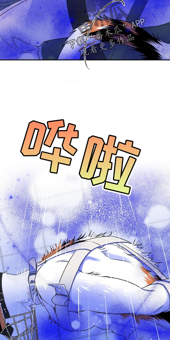 灵猫欧米伽合集漫画,第161话2图