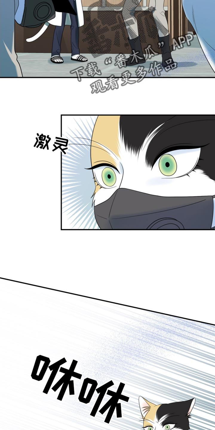 灵猫欧米伽免费阅读漫画,第129话2图