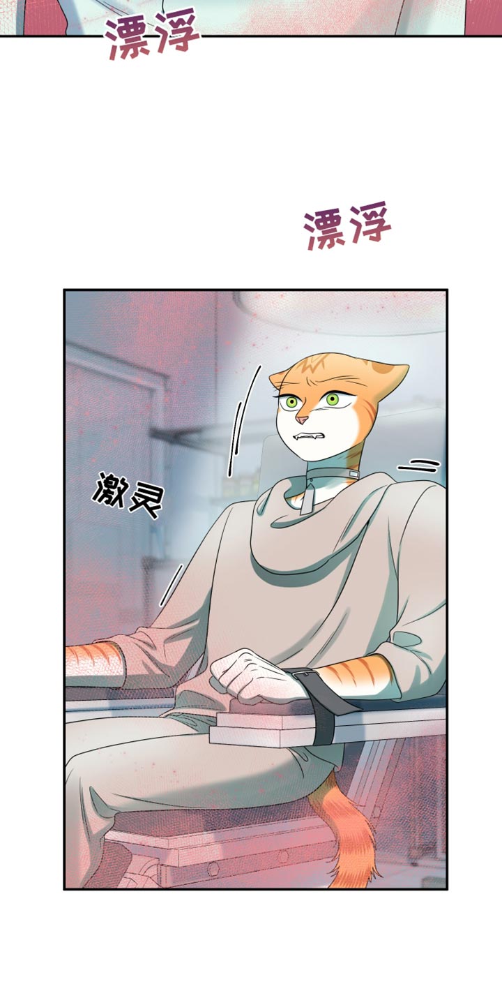 灵猫欧米伽第三季156章漫画,第119话2图