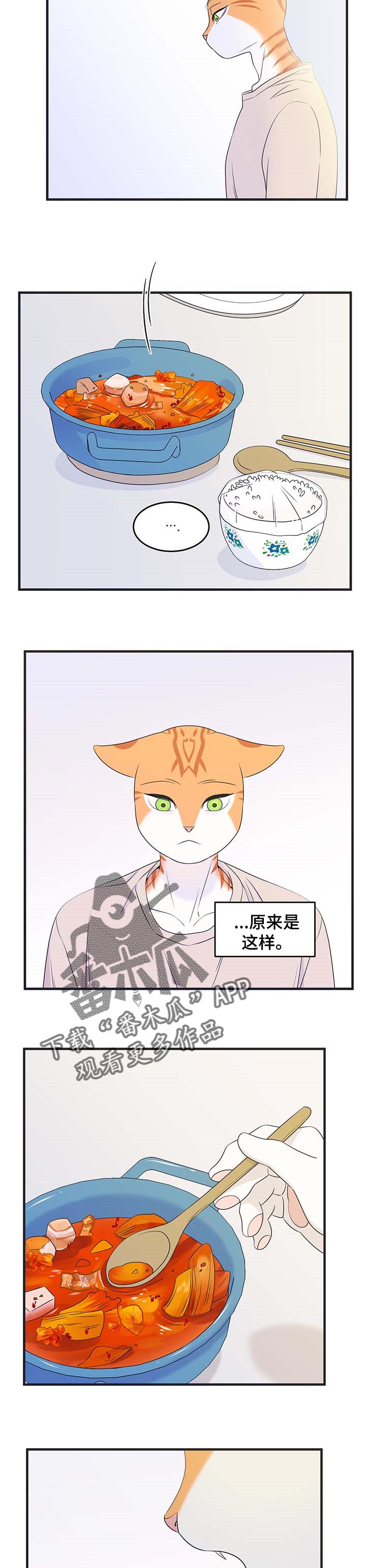 灵猫欧米伽免费阅读漫画,第26话2图