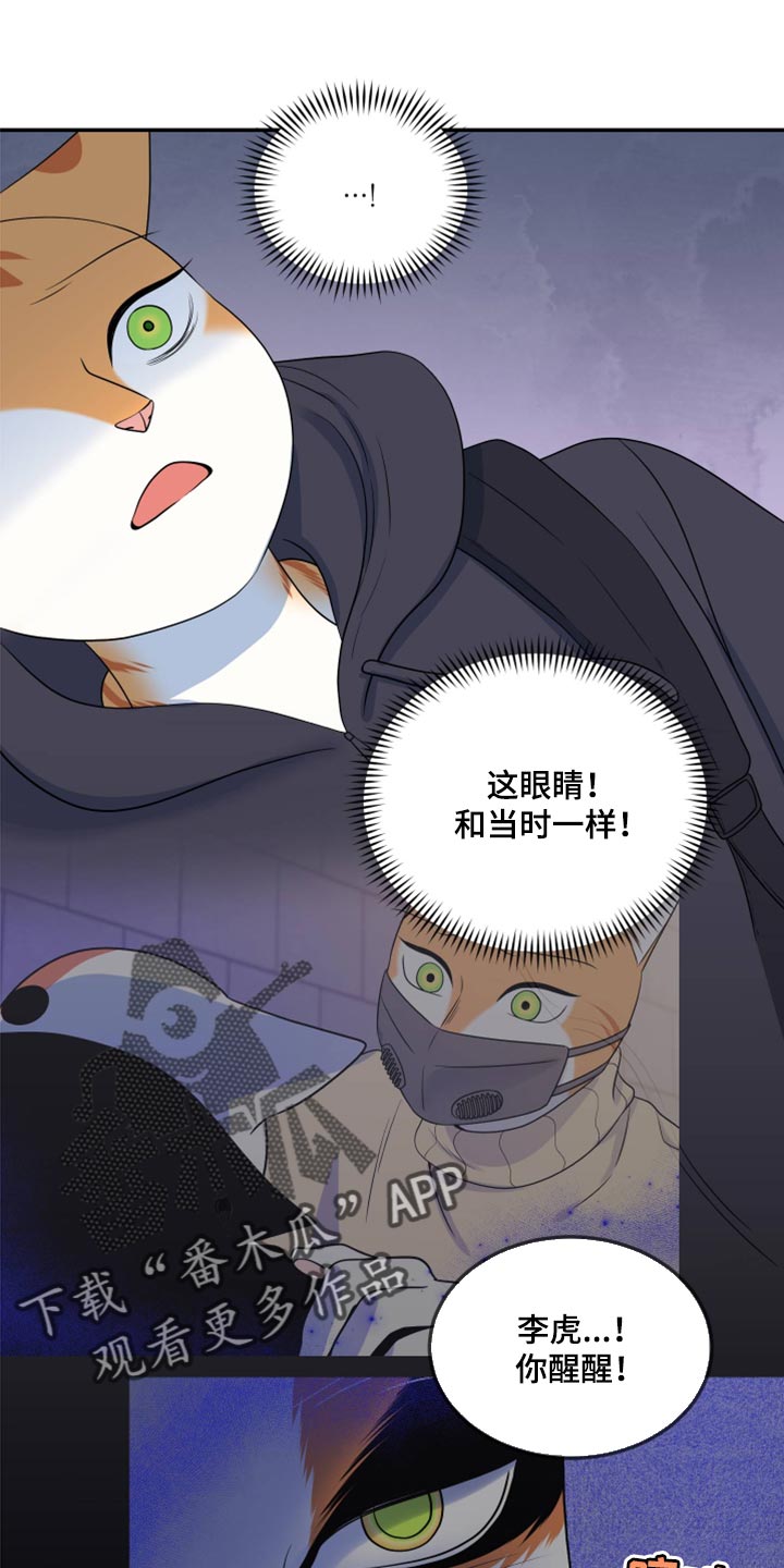 灵猫欧米伽在哪里免费看漫画,第61话1图