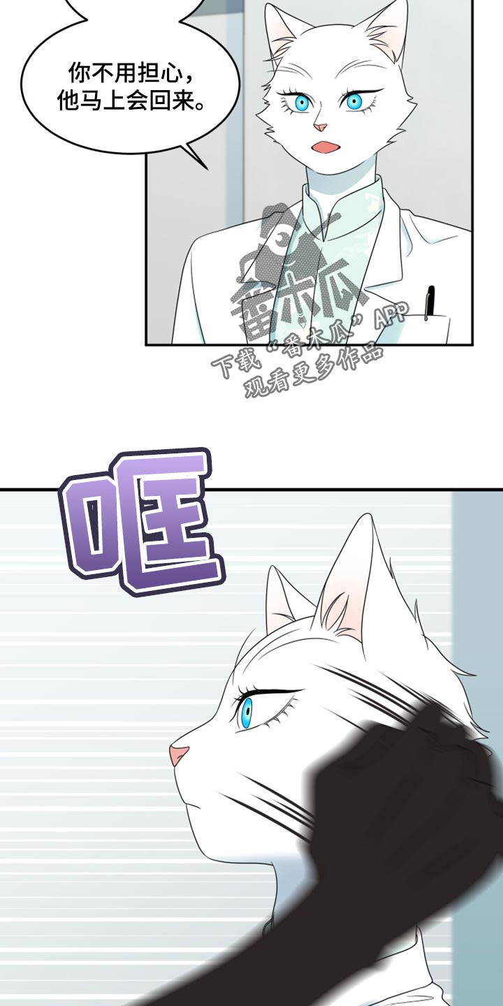 灵猫传汪苏泷漫画,第58话2图