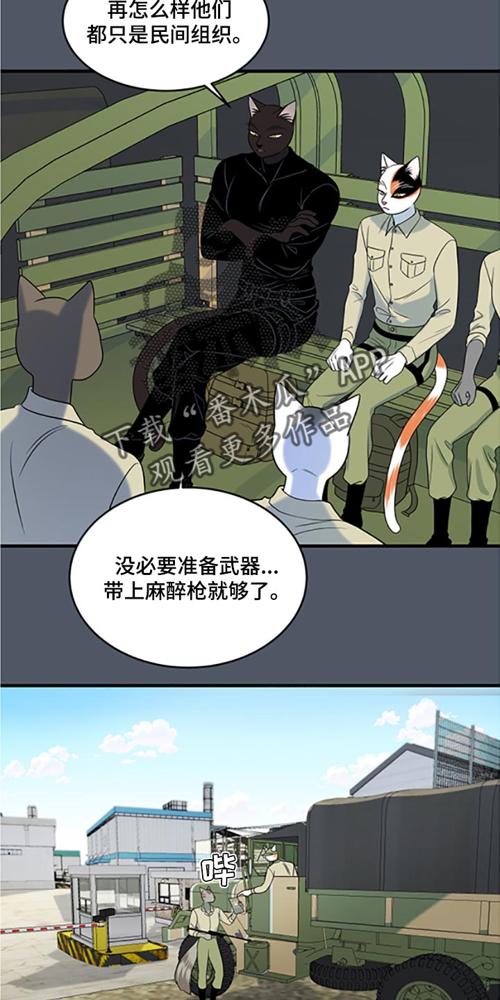 灵猫护塔漫画,第79话2图
