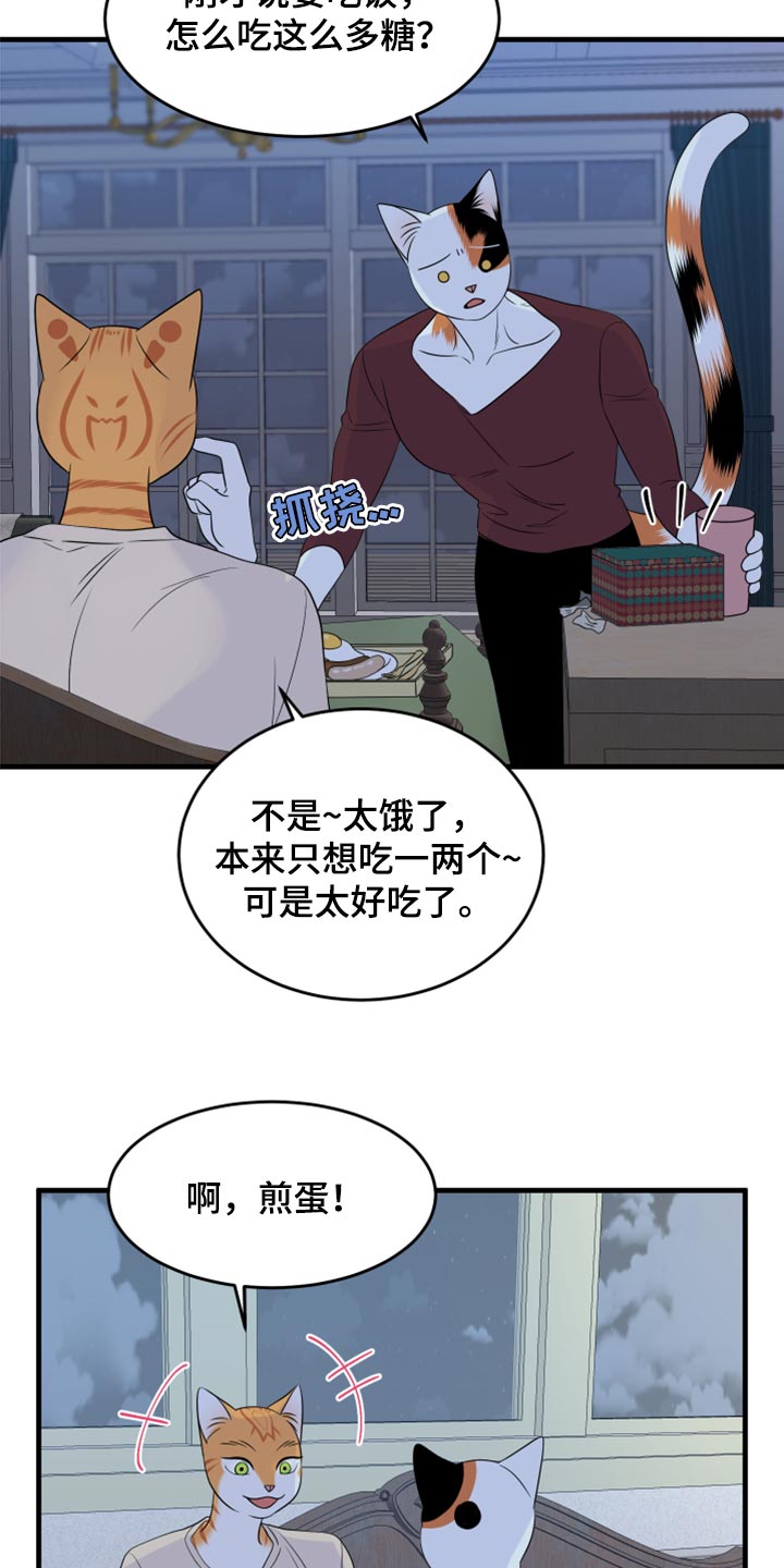 灵猫欧米伽免费漫画,第66话1图