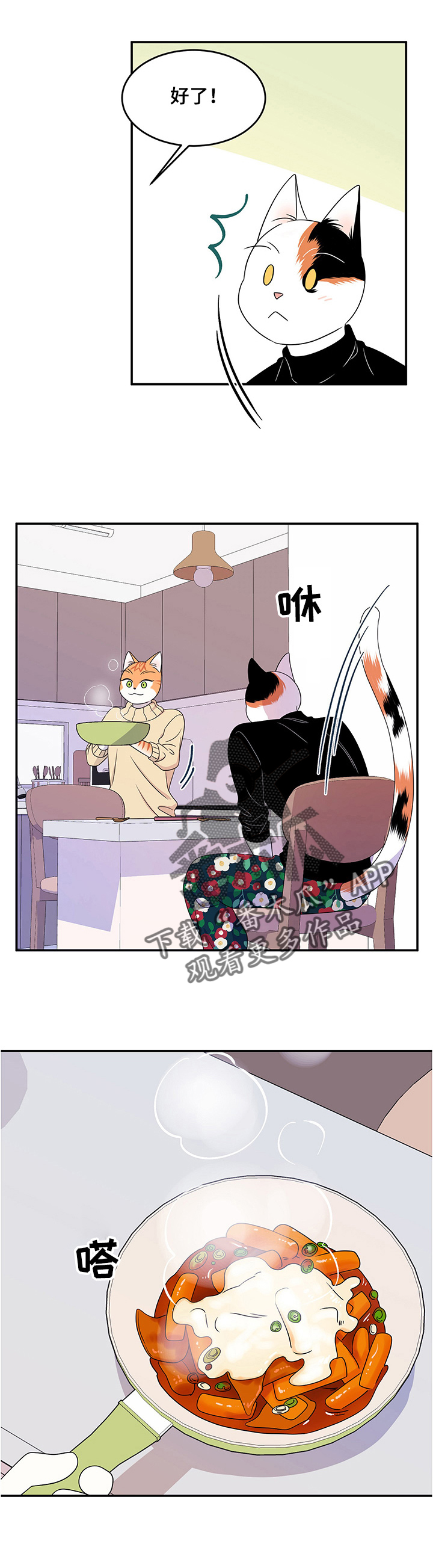 灵猫科和猫科的区别漫画,第11话1图