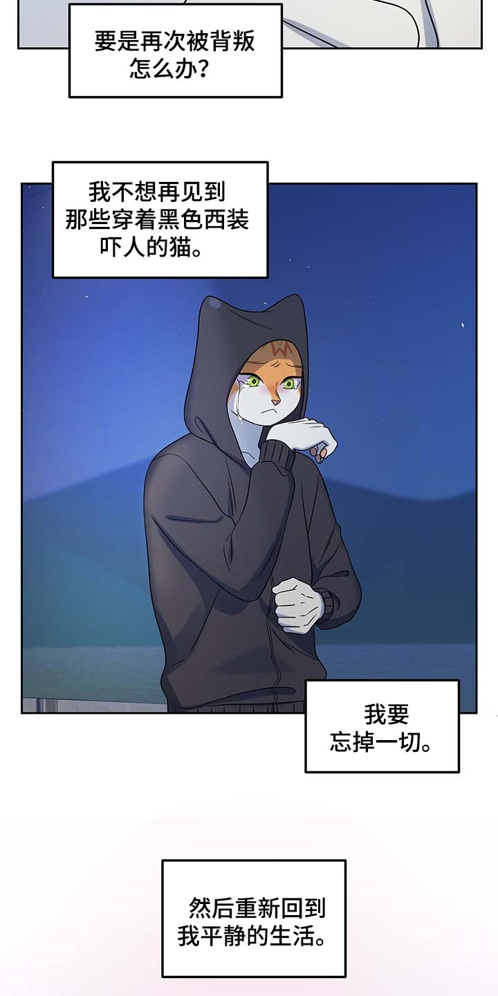 灵猫欧米伽在线免费看漫画漫画,第41话1图