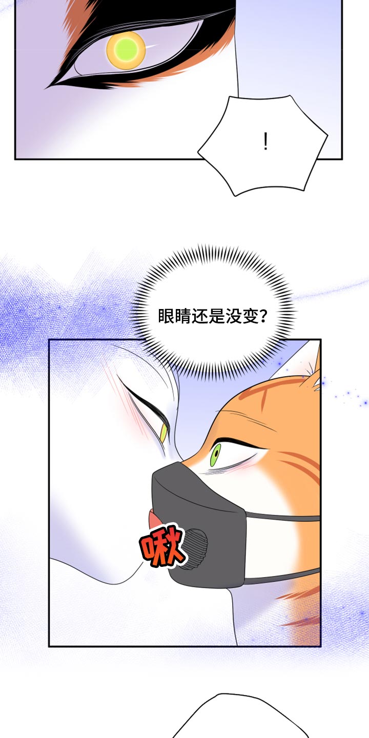 灵猫传攻略漫画,第63话1图