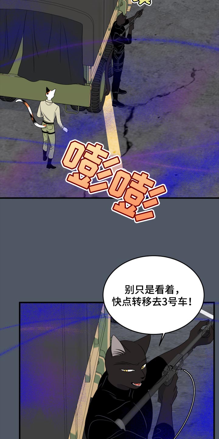 灵猫欧米伽漫蛙叫什么漫画,第81话2图