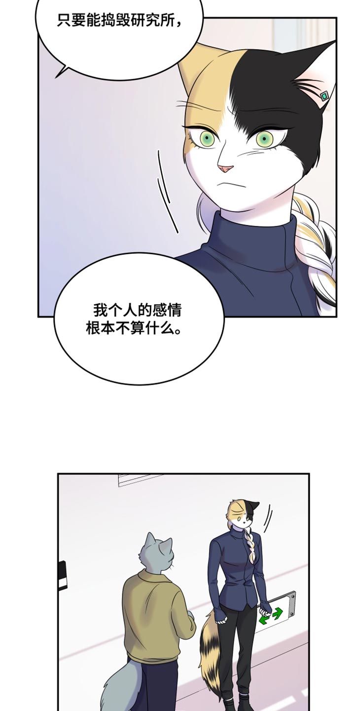 灵猫欧米伽漫画作者漫画,第114话2图