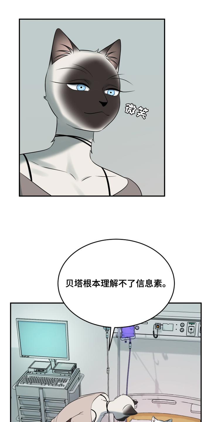 灵猫欧米伽什么时候更新漫画,第150话2图