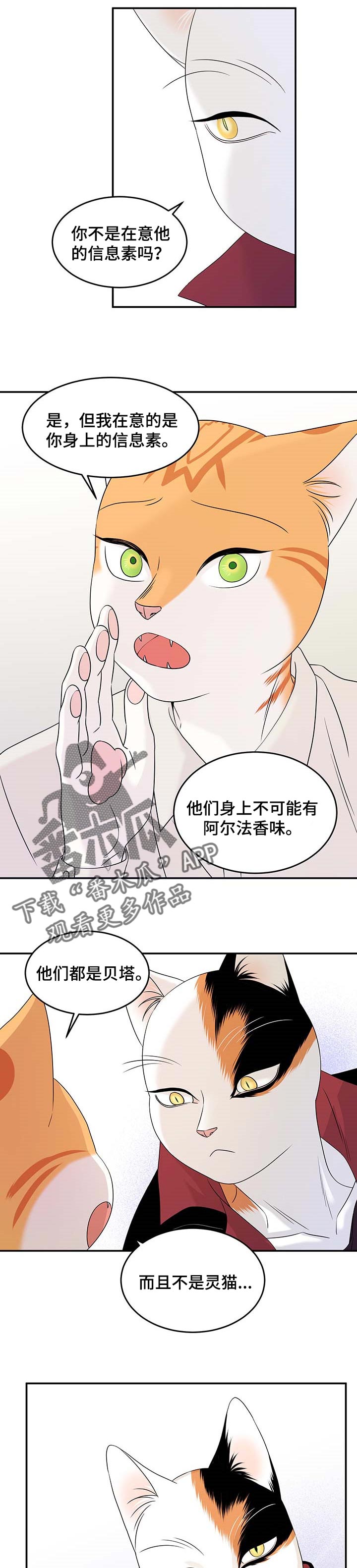 灵猫欧米伽双猫漫画,第24话1图