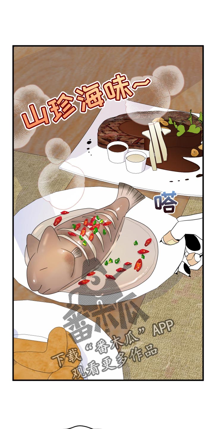 灵猫科和猫科的区别漫画,第100话1图