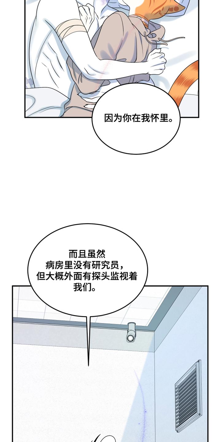 灵猫欧米伽完整版漫画,第167话2图