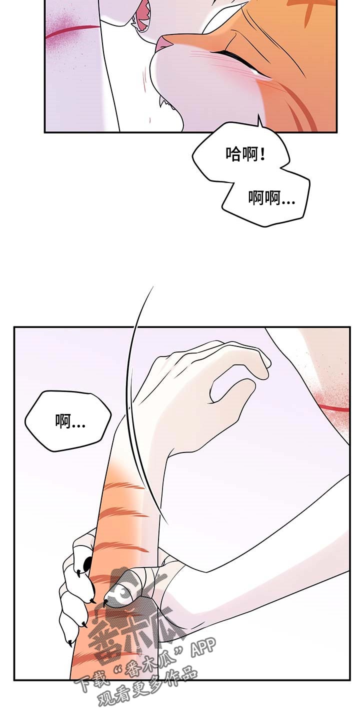 灵猫欧米伽漫画全集免费下拉式漫画,第47话1图