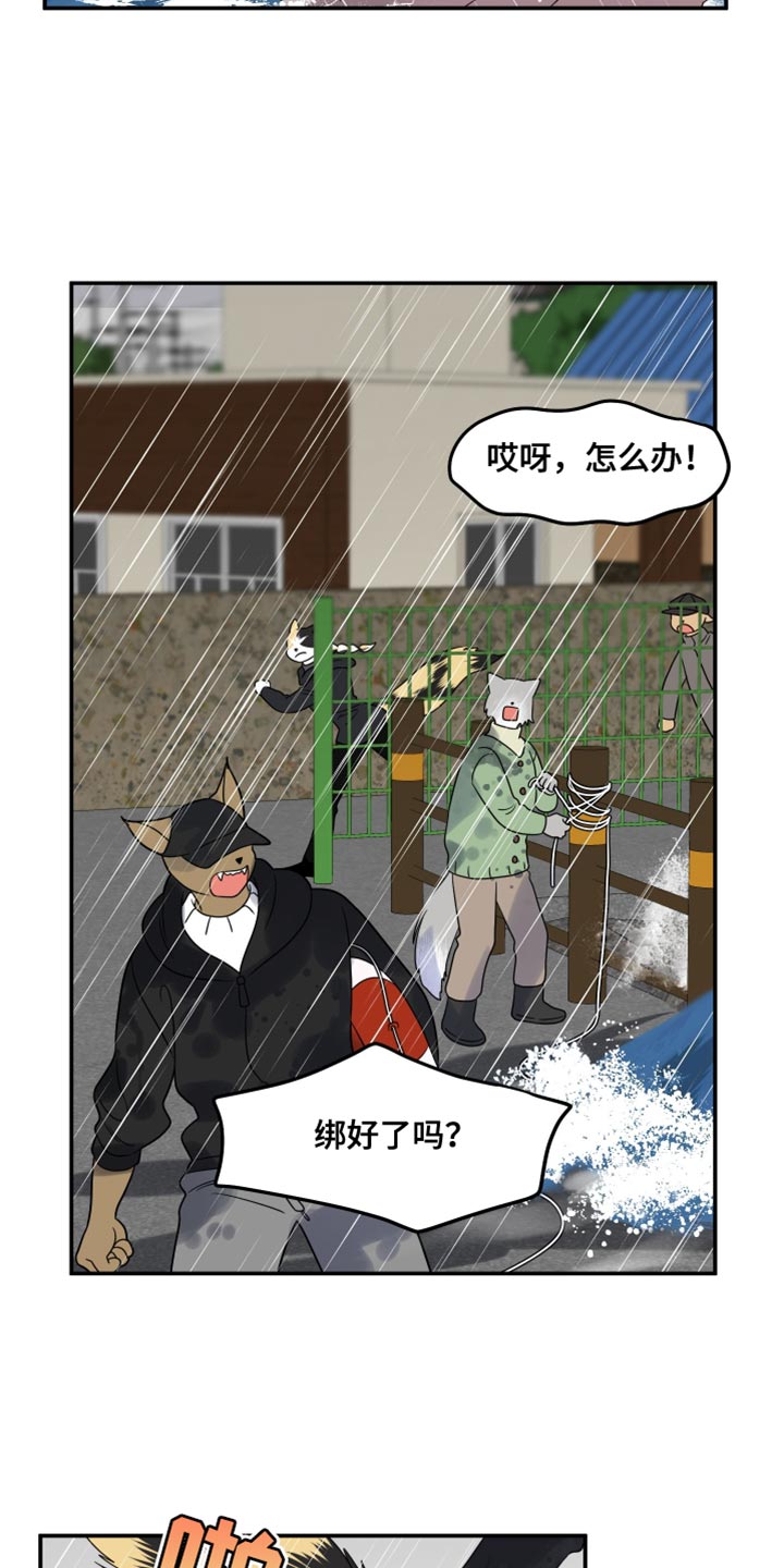 灵猫小说漫画,第112话1图