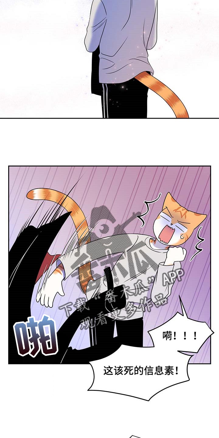 灵猫欧米伽视频漫画,第42话2图