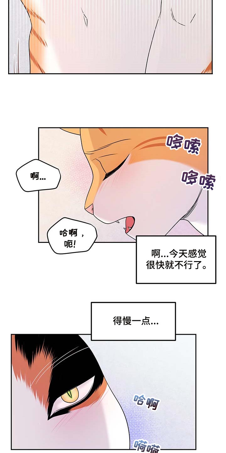 灵猫欧米伽什么时候更新第三季漫画,第46话2图