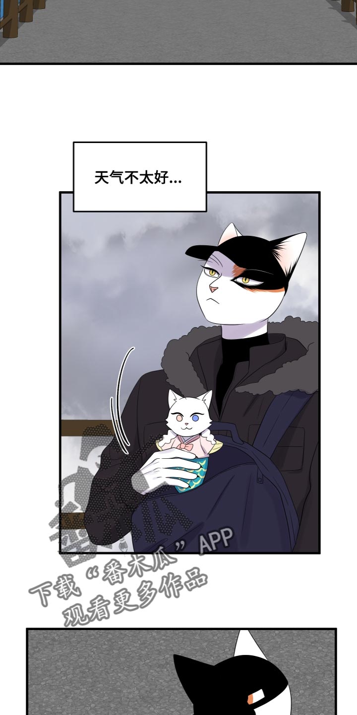 灵猫欧米伽免费阅读漫画,第108话1图