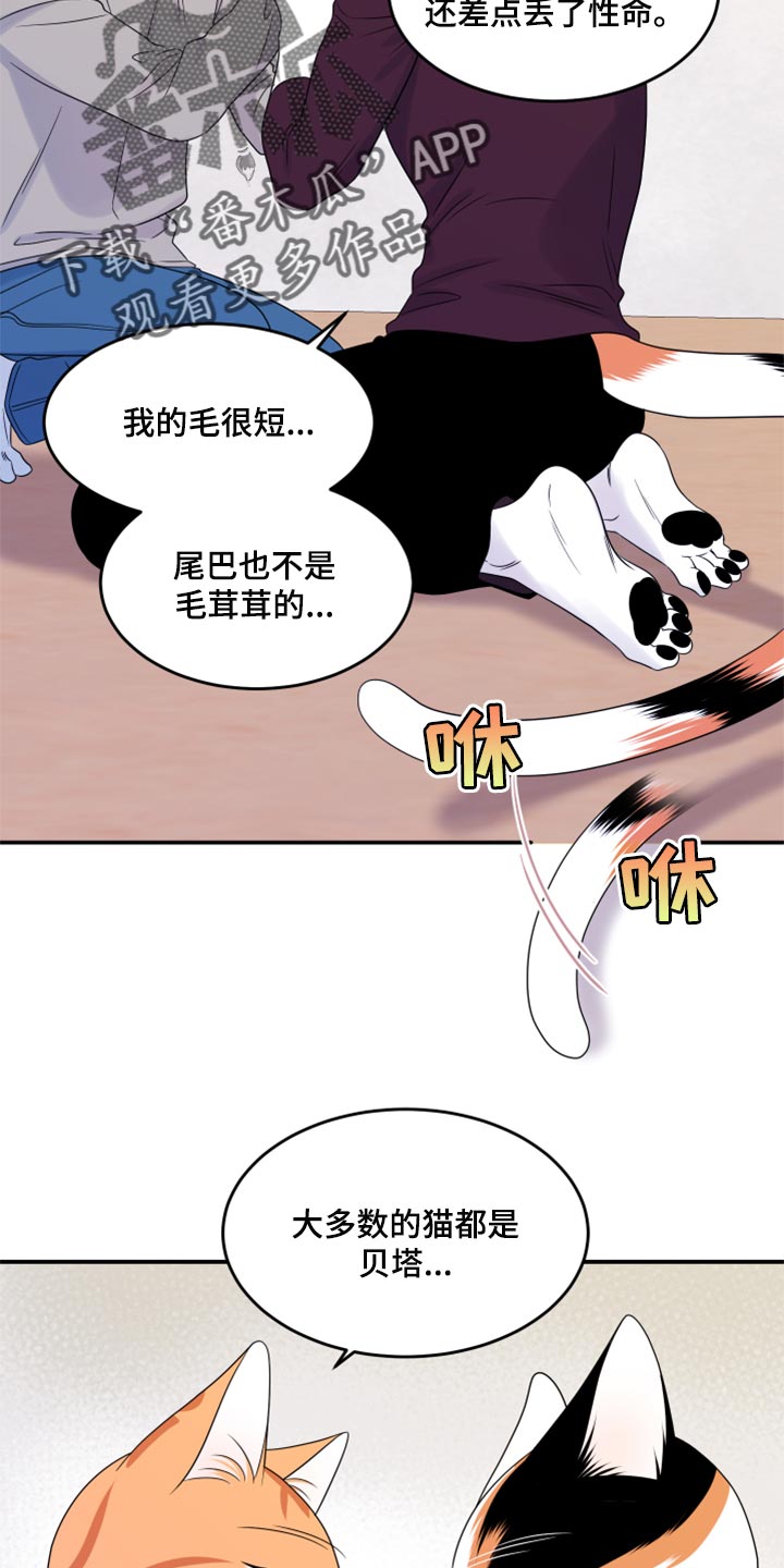 灵猫欧米伽未删减版漫画,第55话2图